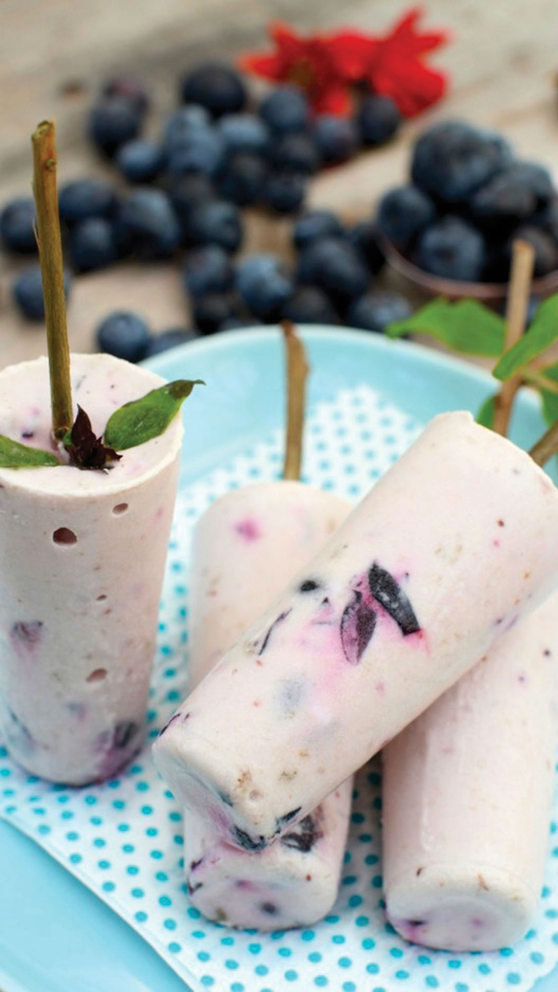 Blueberry Coconut Dreamsicles_WEB