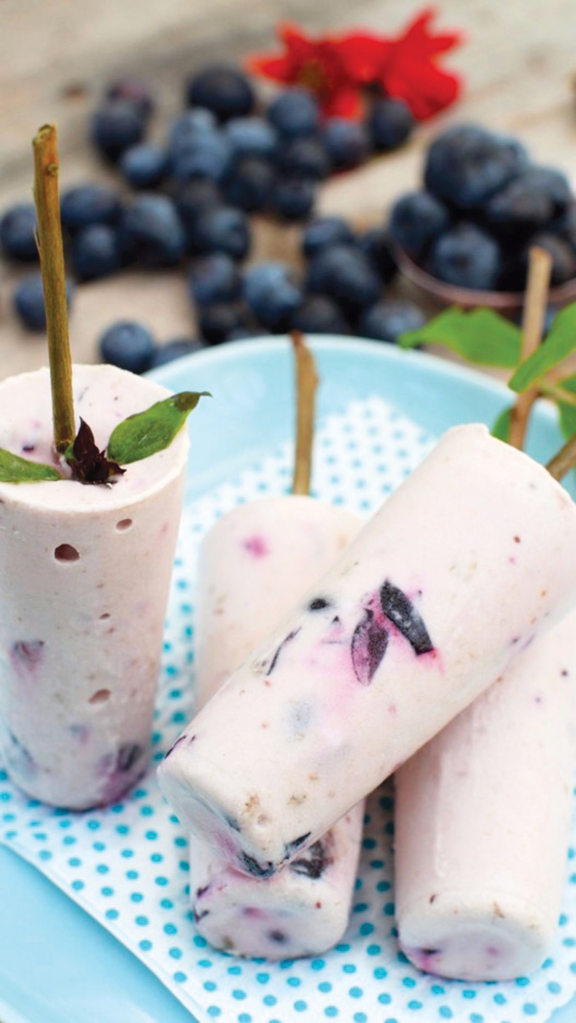 blueberry-coconut-dreamsicles